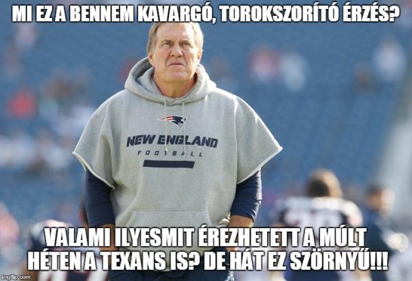 belichick-meme.jpg
